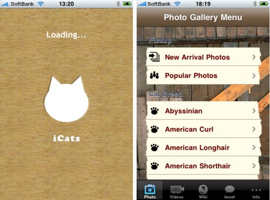 icat1.png