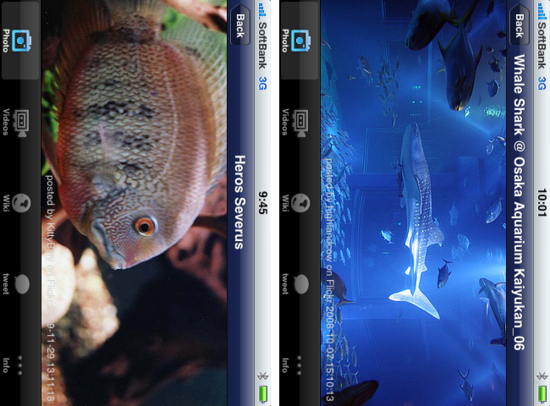 aqua5.png