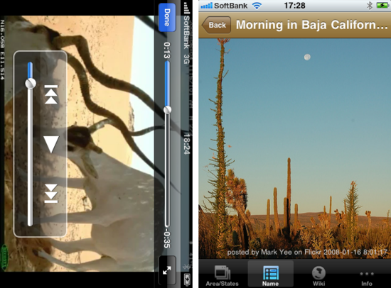 desert5.png