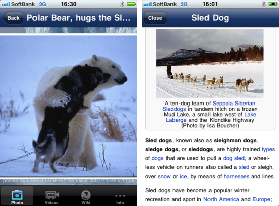 polar5.png