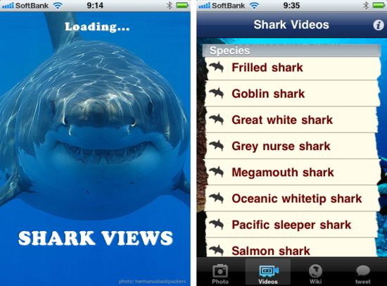 sharkviews1.png