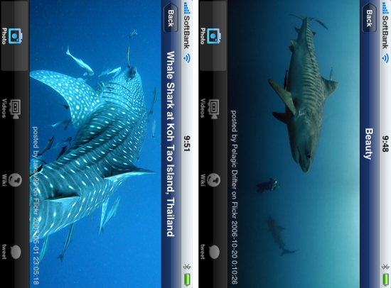 sharkviews2.png