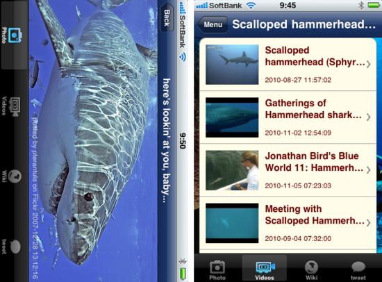 sharkviews3.png