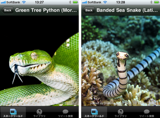 snake3.png