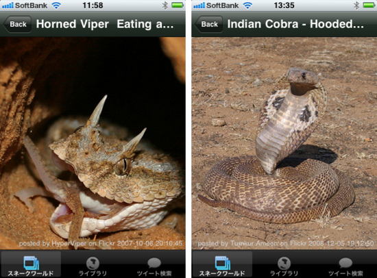 snake4.png