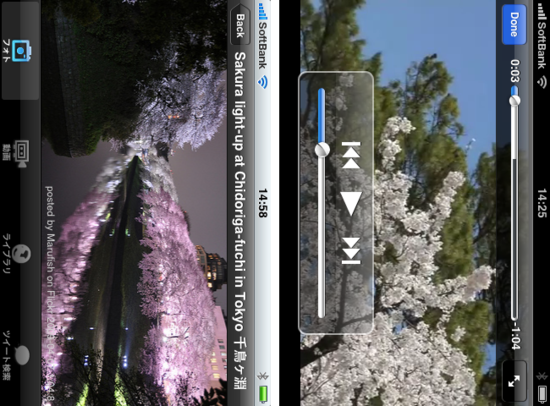 sakura2.png