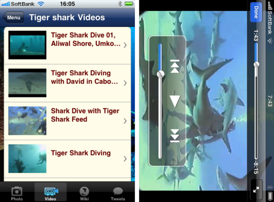 sharkdiving2.png