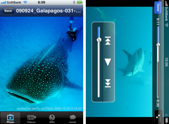 sharkdiving3.png