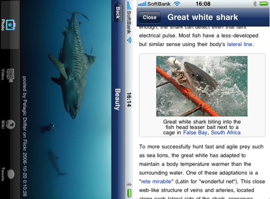 sharkdiving4.png