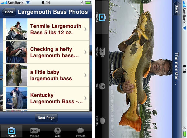 http://quantis.itaco.jp/isportfishing2.png