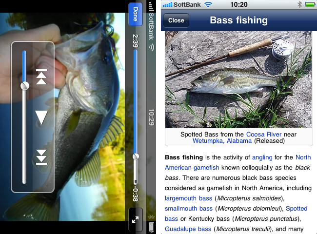 http://quantis.itaco.jp/isportfishing5.png