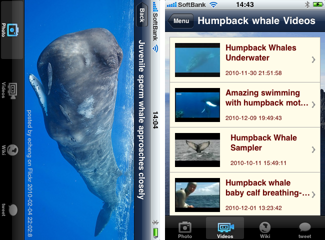 http://quantis.itaco.jp/iwhale4.png
