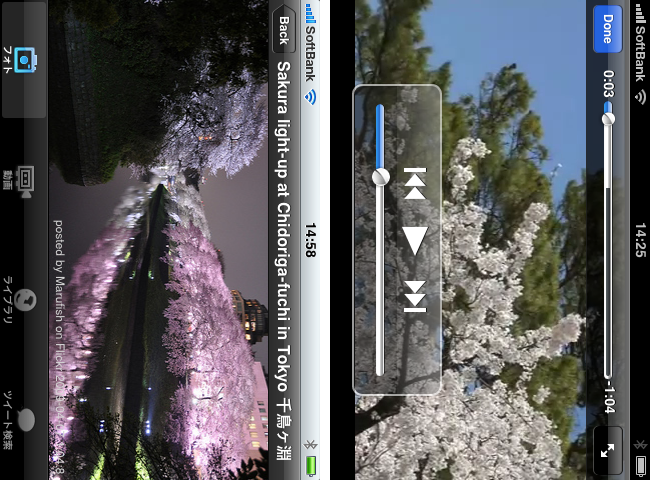 http://quantis.itaco.jp/sakura2.png