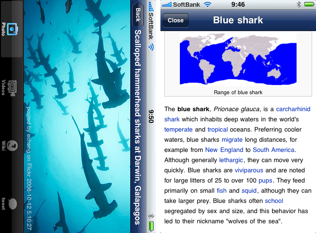 http://quantis.itaco.jp/sharkviews4.png