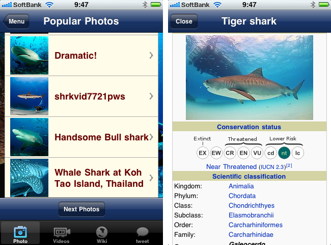 http://quantis.itaco.jp/sharkviews5.png