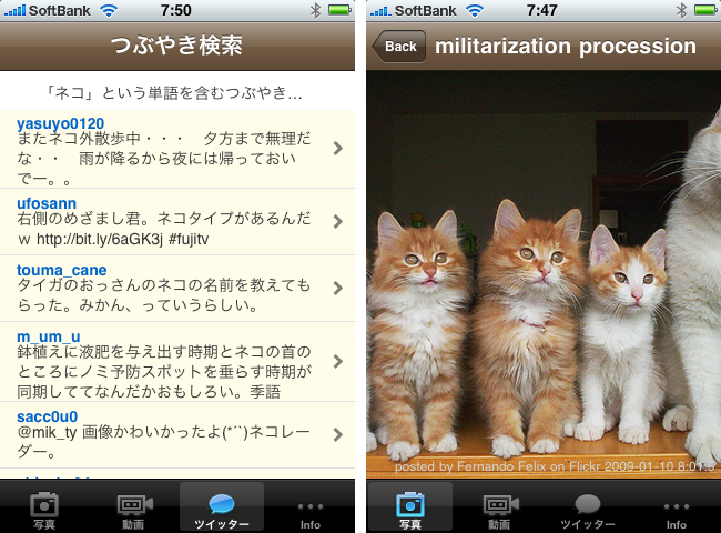http://quantis.itaco.jp/web5.png